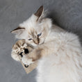 Load image into Gallery viewer, I Love Happy Cats Pouch with Mix