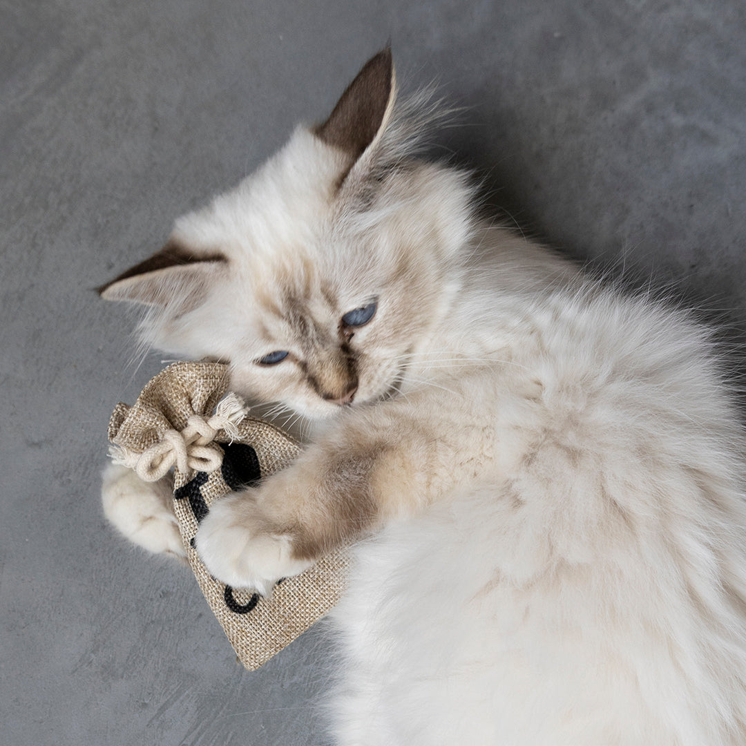 I Love Happy Cats Pouch with Mix