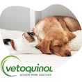 Load image into Gallery viewer, Cat Dewormer Tablets