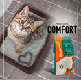 Load image into Gallery viewer, Cat Litter - Excellent Clumping