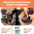 Load image into Gallery viewer, Our Dogs Life Dental Spray For Dogs