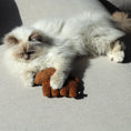 Load image into Gallery viewer, I Love Happy Cats Zoey Refillable Cat Kicking Cushion Cat Toy