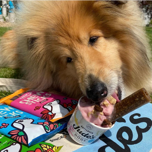 Lily's Kitchen Chew Sticks with Beef Dog Treats