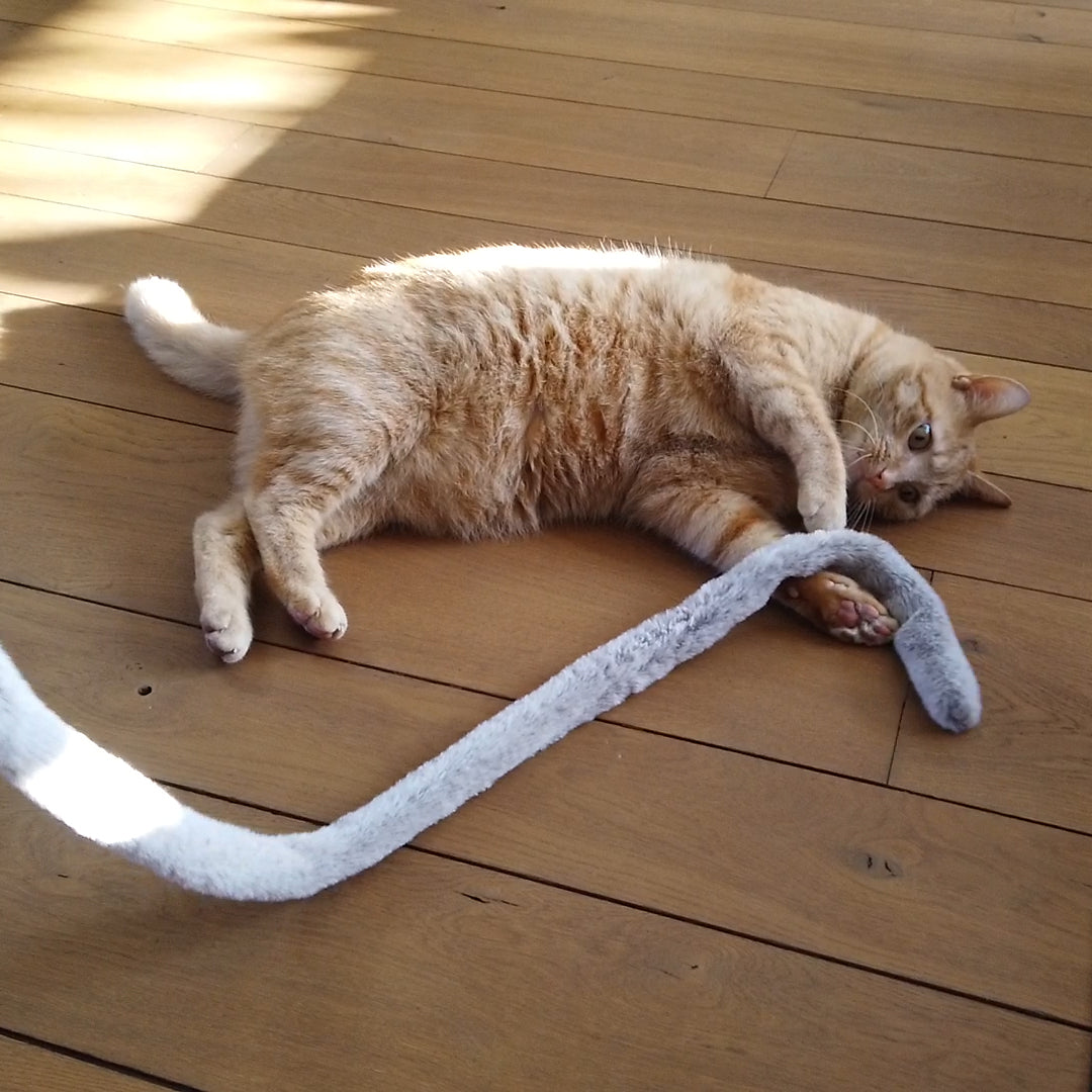Lovi Cat Rod
