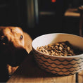 Load image into Gallery viewer, Save the Waves Bamboo Printed Dog Bowl