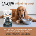 Load image into Gallery viewer, Bugalugs Deer Antler Powder for Dogs