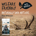Load image into Gallery viewer, Bugalugs Deer Antler Powder for Dogs