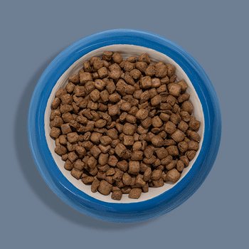 Steam & Dried Lamb Recipe Dry Dog Food