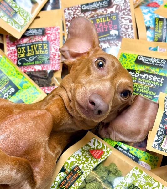Venison Joint Care Super Snacks Dog Treats