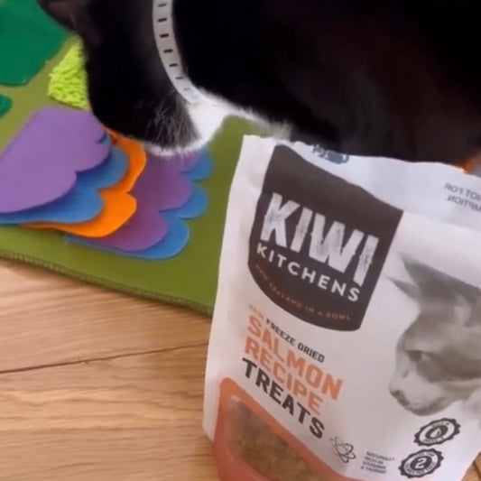 Kiwi Kitchens Raw Freeze Dried Tuna Recipe Cat Treats