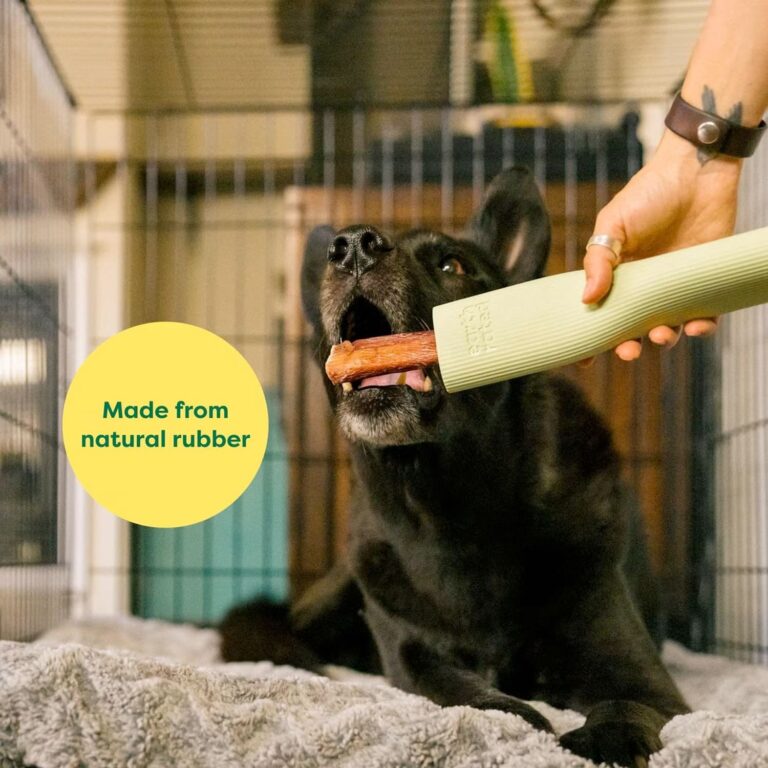 Enrichment Toy