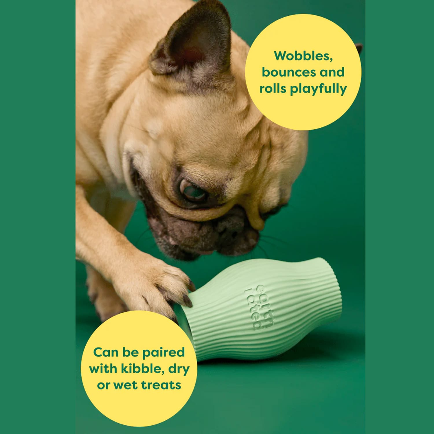 Treat Toy