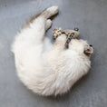 Load image into Gallery viewer, I Love Happy Cats Herb Mix Refillable Tubes