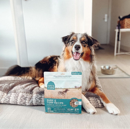 Freeze Dried Surf & Turf Recipe Dry Dog Food