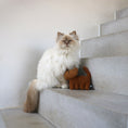 Load image into Gallery viewer, I Love Happy Cats Zoey Refillable Cat Kicking Cushion Cat Toy