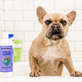 Load image into Gallery viewer, Earthbath Deodorizing Shampoo - Mediterranean Magic