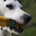 Load image into Gallery viewer, Wild Yaky Golden Turmeric Himalayan Dog Chew