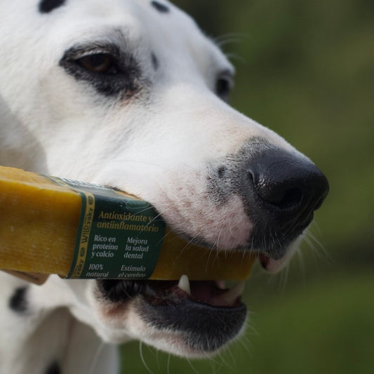 Wild Yaky Golden Turmeric Himalayan Dog Chew