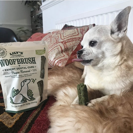 Woofbrush Dental Dog Chews Bulk Pack