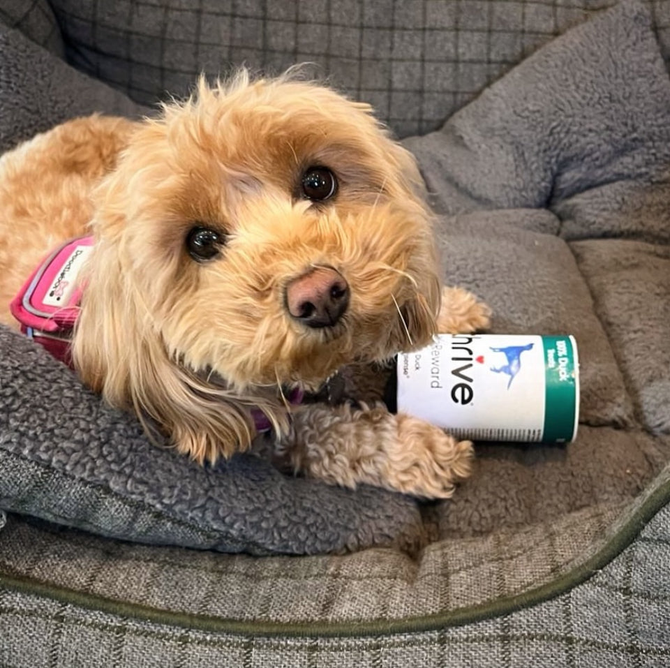 Thrive Dog Complete - Duck Treats
