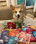 Load image into Gallery viewer, Woofbrush Dental Dog Chews Bulk Pack
