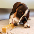 Load image into Gallery viewer, Wild Yaky Golden Turmeric Himalayan Dog Chew