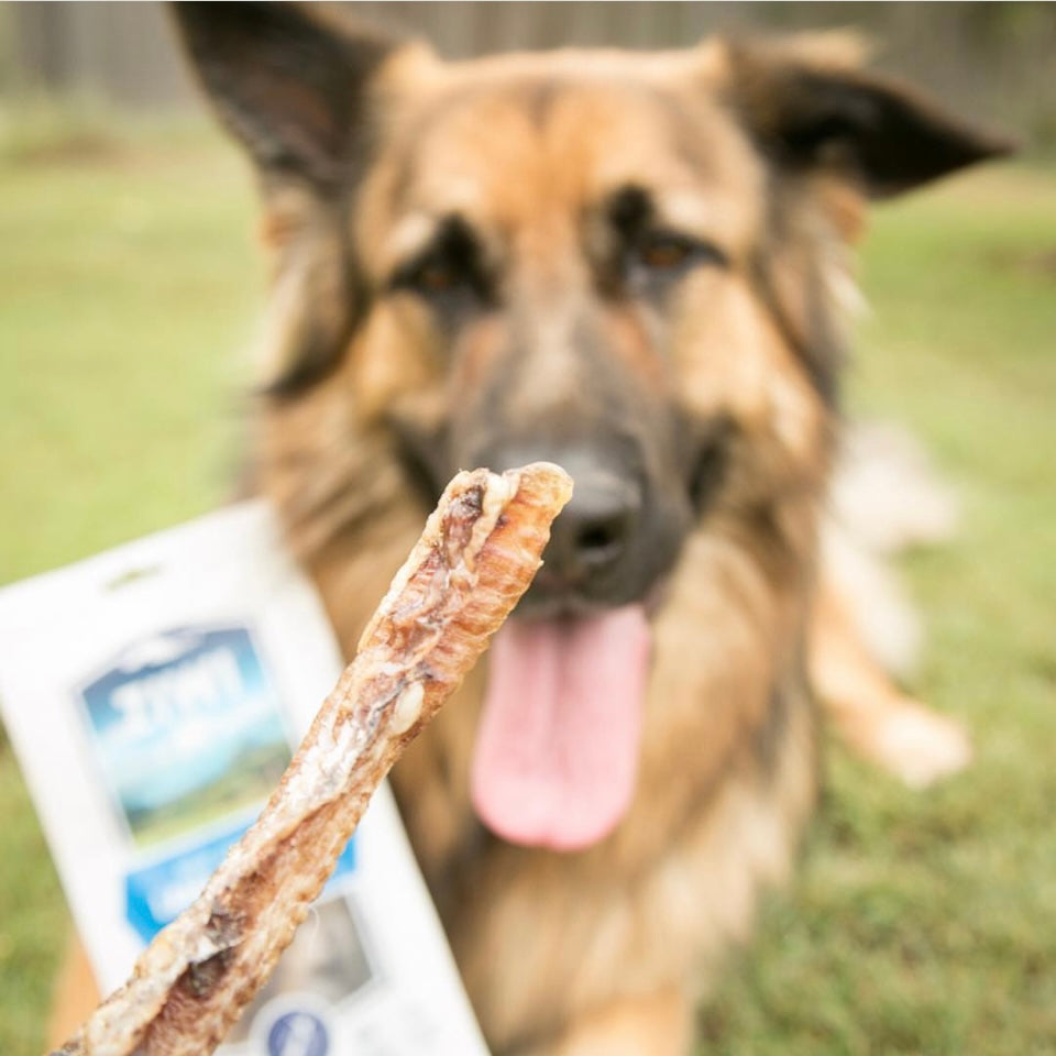 Ziwi Peak Lamb Trachea Treats