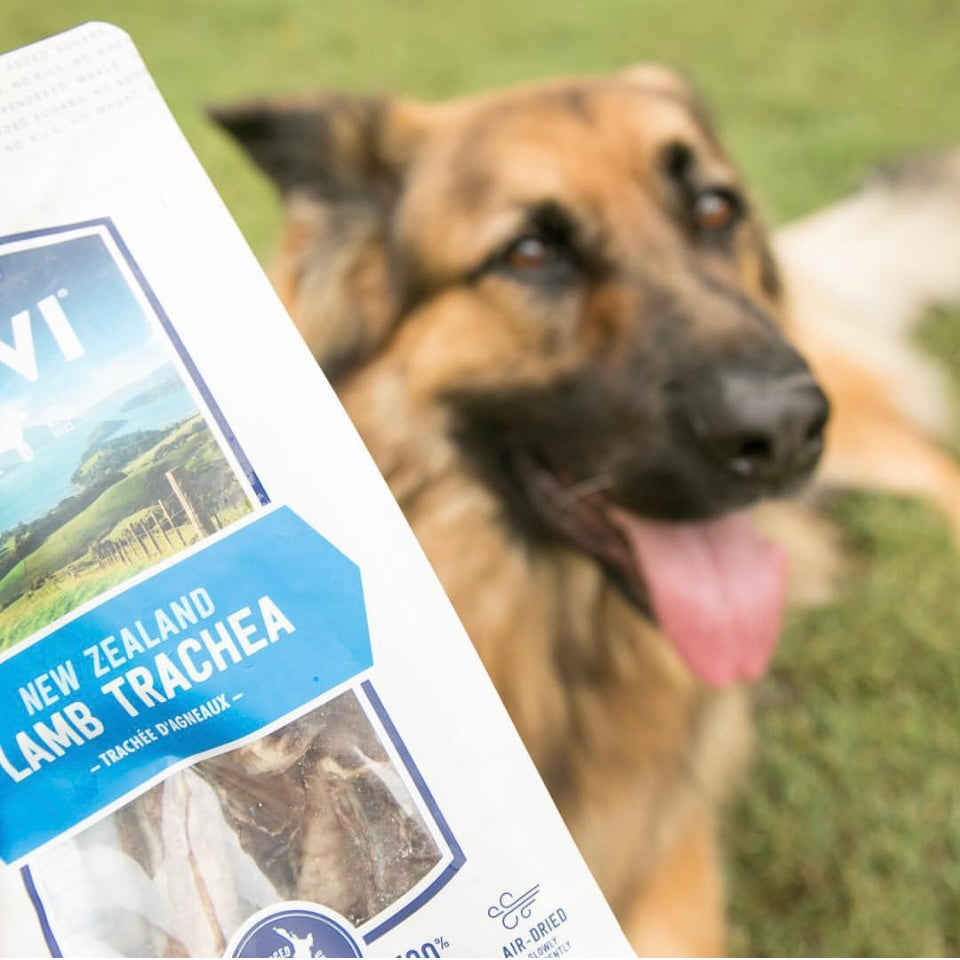 Ziwi Peak Lamb Trachea Treats