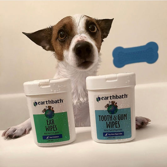 Earthbath Tooth & Gum Wipes