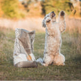 Load image into Gallery viewer, ESSENTIAL BALANCE SMALL KIBBLE SIZE