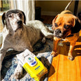 تحميل الصورة في عارض المعرض, Earthbath Hypo-Allergenic Grooming Wipes