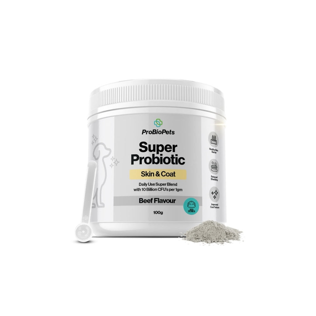 Skin & Coat Probiotic