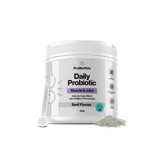 Muscle & Joint Probiotic