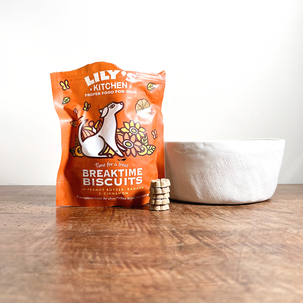 Lily's Kitchen Breaktime Biscuits Dog Treats