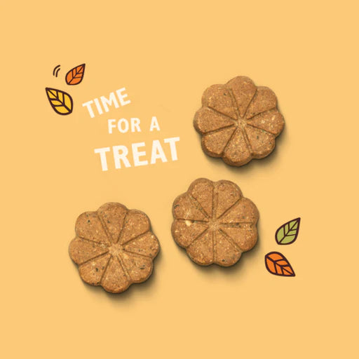 Lily's Kitchen Breaktime Biscuits Dog Treats