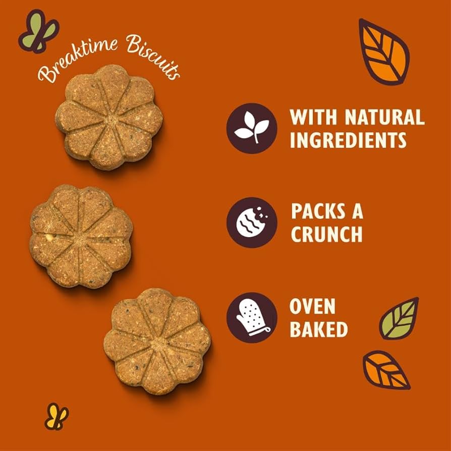Lily's Kitchen Breaktime Biscuits Dog Treats