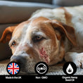 Load image into Gallery viewer, Itch & Allergy Hemp Oil For Pets