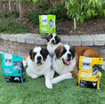 Load image into Gallery viewer, Grass Fed Lamb Dinner Raw Freeze Dried Dog Food