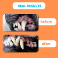 Load image into Gallery viewer, Our Dogs Life Deep Cleaning Toothpaste For Dogs