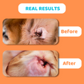 Load image into Gallery viewer, Our Dogs Life Dog Ear Cleaning Solution