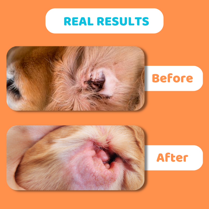 Our Dogs Life Dog Ear Cleaning Solution