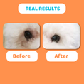 Load image into Gallery viewer, Our Dogs Life Anti-Bacterial Eye Wash for Dogs