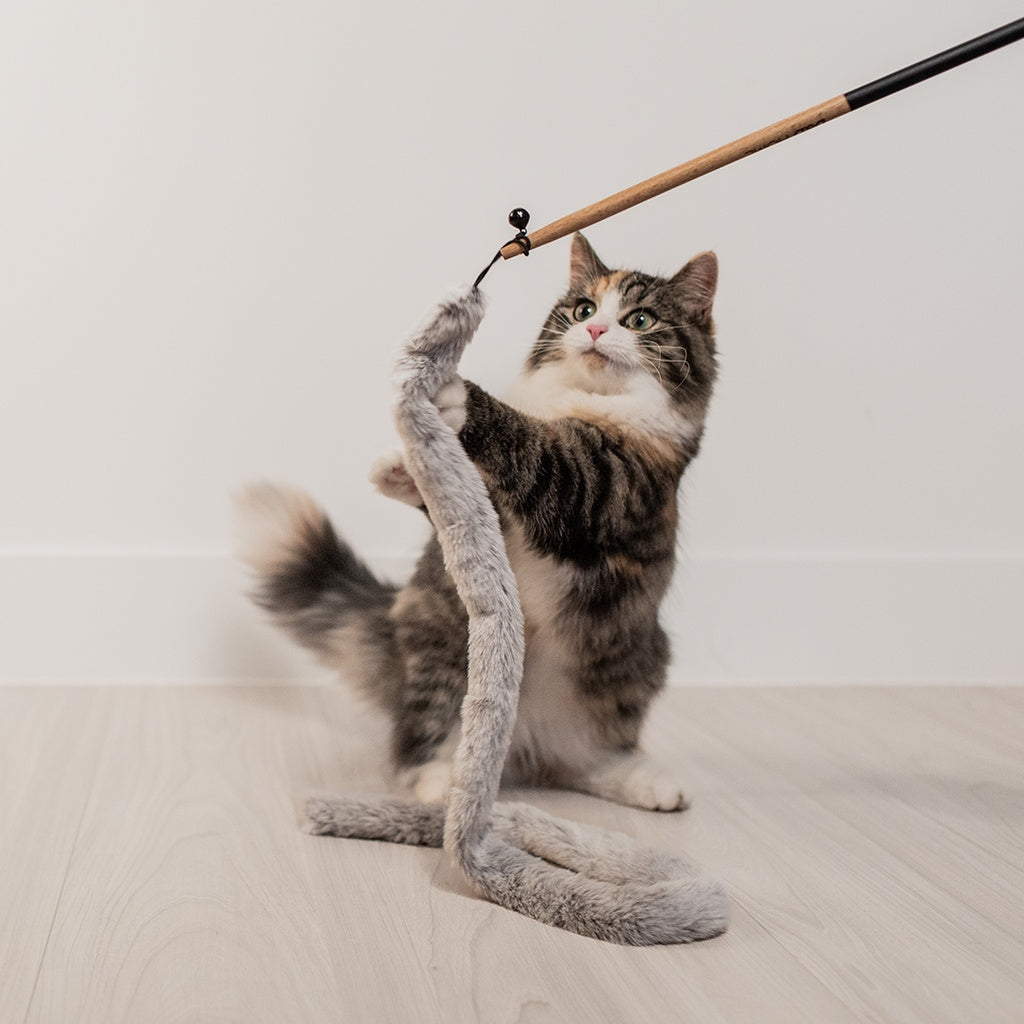 Lovi Cat Rod