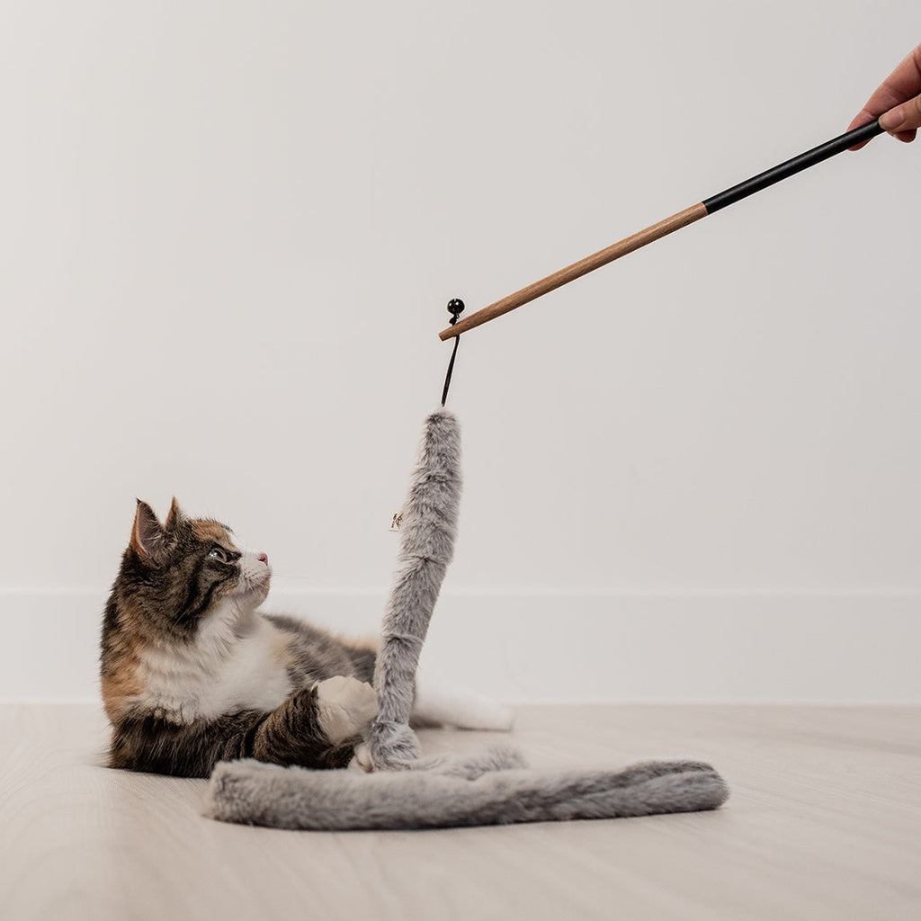 Lovi Cat Rod