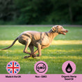 Load image into Gallery viewer, Muscle & Joint Hemp Oil For Pets