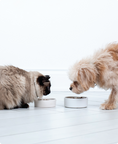 Load image into Gallery viewer, Grass Fed Beef Bone Broth Meal Topper for Dogs & Cats