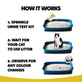 Load image into Gallery viewer, Cat Urine Test Kit Ph Detector
