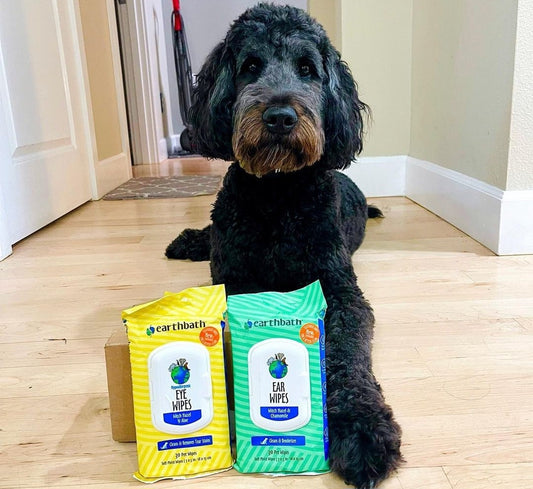 Earthbath Eye Wipes for dogs