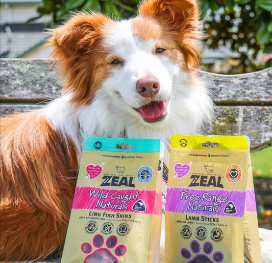 "Dog enjoying ZEAL® natural pet treats"