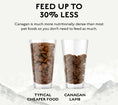 تحميل الصورة في عارض المعرض, Canagan Grass Fed Lamb For Puppies & Adults